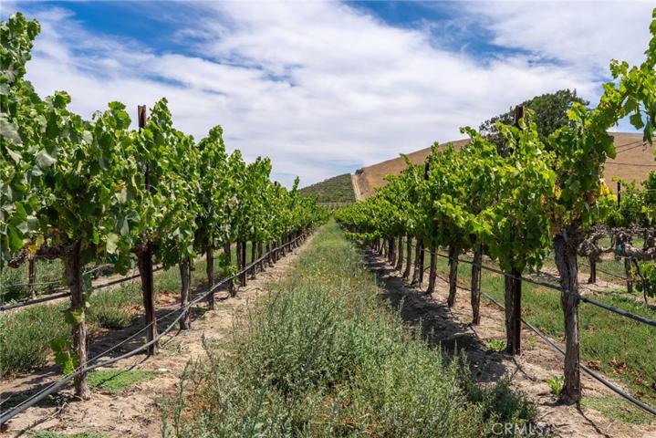 50577 Wild Horse Road, King City, California 93930