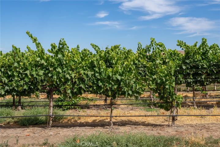 50577 Wild Horse Road, King City, California 93930