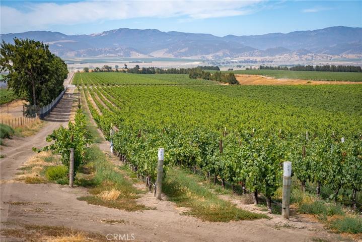 50577 Wild Horse Road, King City, California 93930