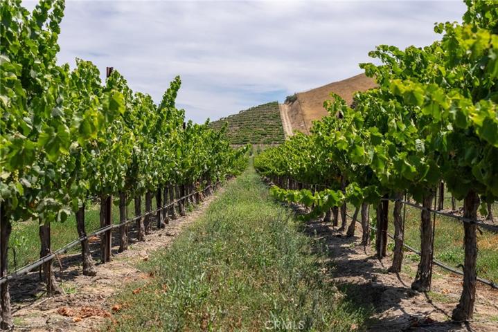50577 Wild Horse Road, King City, California 93930
