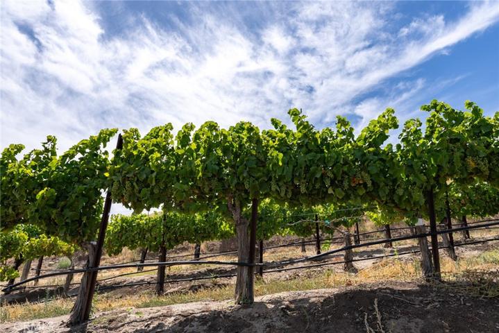 50577 Wild Horse Road, King City, California 93930