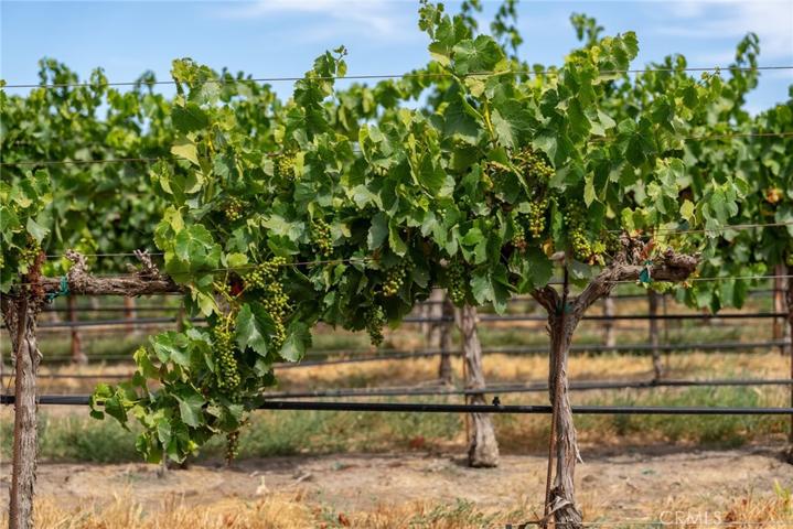 50577 Wild Horse Road, King City, California 93930