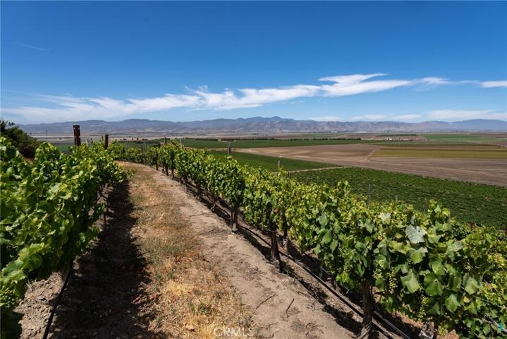 50577 Wild Horse Road, King City, California 93930