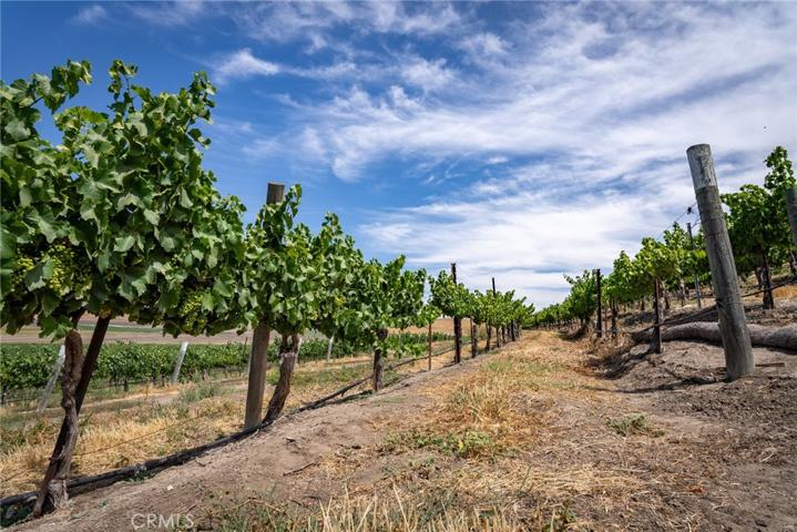 50577 Wild Horse Road, King City, California 93930