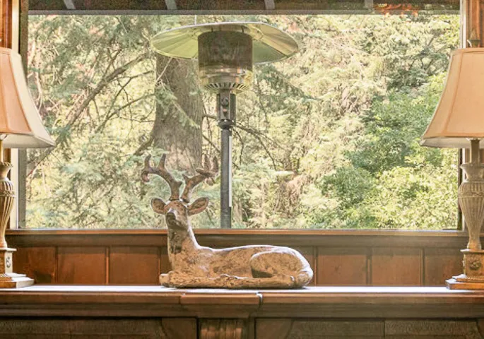 View Deer