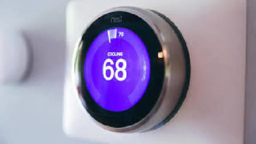 NEST Large
