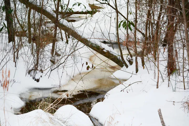 Stream Photo 2