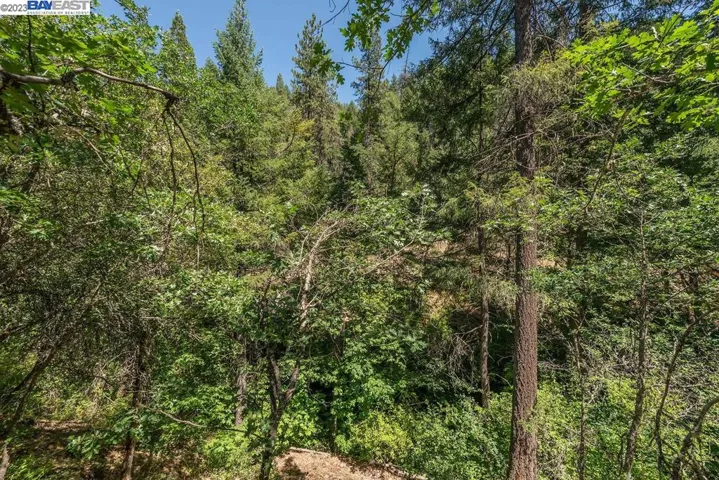 351 Lost Bridge, Lewiston, California 96052