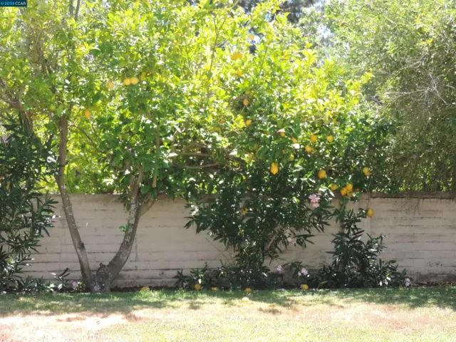 2190 Canyon Crest Ave, San Ramon, California 94582