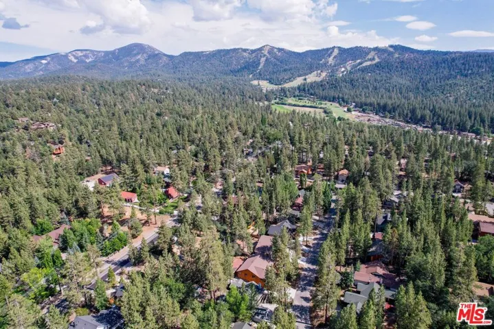 919 Mcalister Road, Big Bear City, California 92314