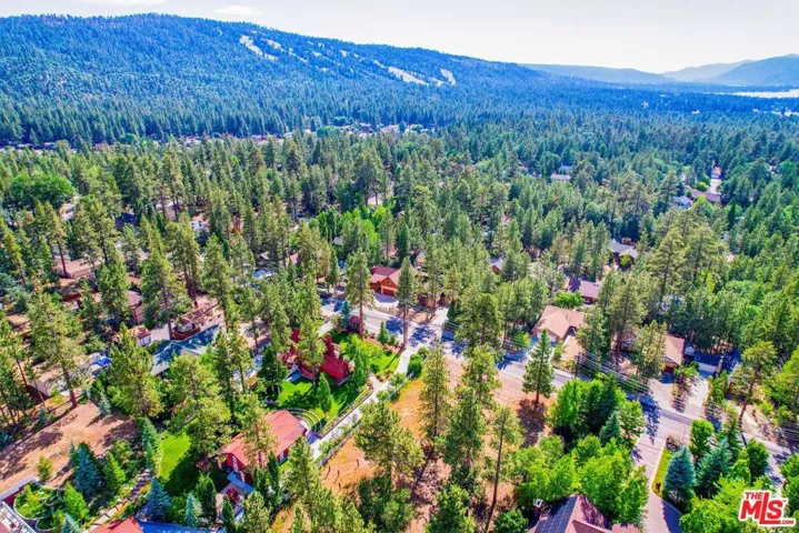 919 Mcalister Road, Big Bear City, California 92314