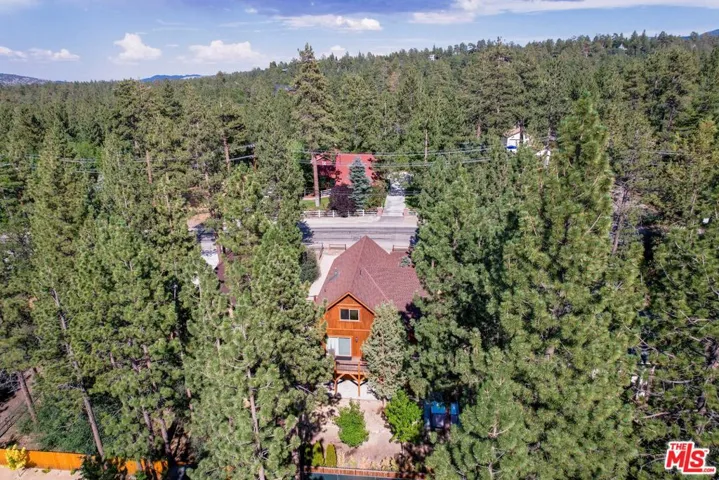 919 Mcalister Road, Big Bear City, California 92314