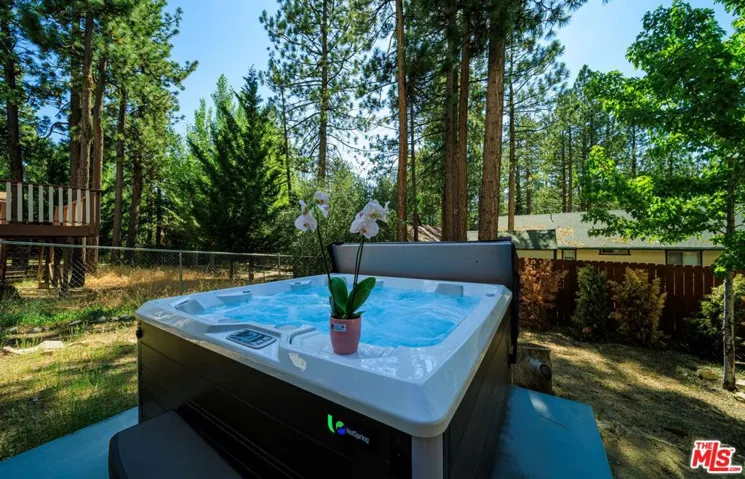919 Mcalister Road, Big Bear City, California 92314