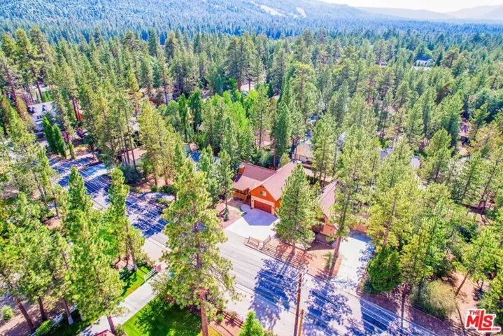 919 Mcalister Road, Big Bear City, California 92314