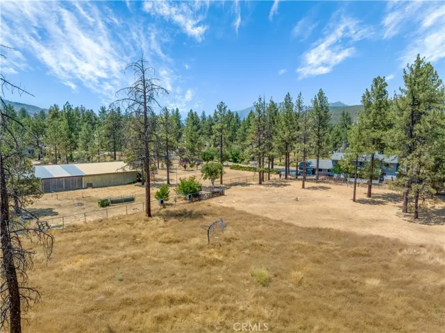 Multiple pasture areas!