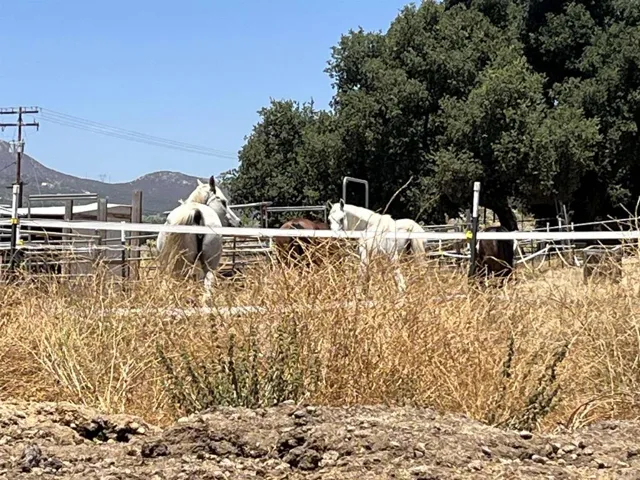 1329 Sheridan Road S 1, Campo, California 91906