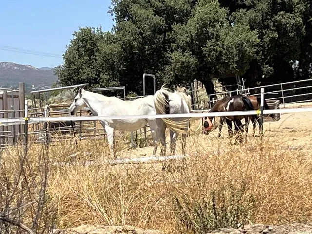 1329 Sheridan Road S 1, Campo, California 91906