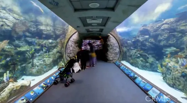 Downtown Long Beach: Aquarium of the Pacific