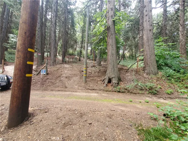 47 El Valle, Cedarpines Park, California 92322