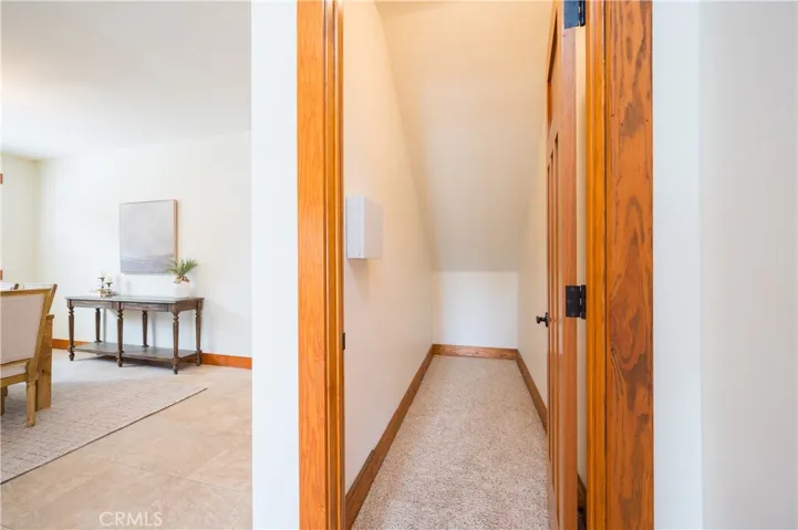 Understairs Storage