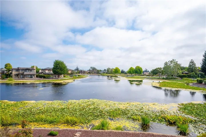 View of Avocet Lake From Backyard
