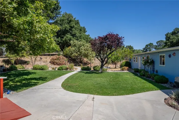 The backyard has a sizeable lawn area.