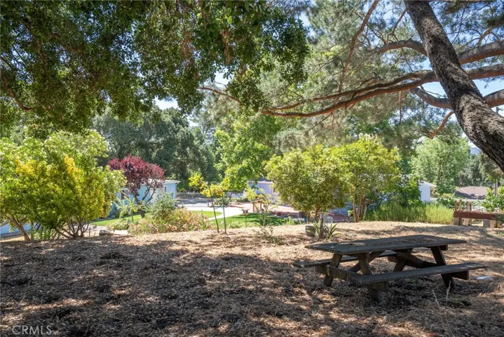 At the back of the property there is a marvelous area under multiple shade trees that overlooks the rest of the backyard.