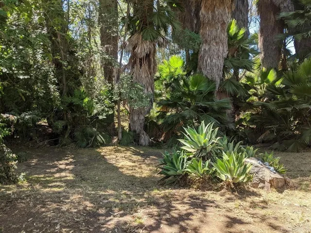 3862 Avocado Blvd, La Mesa, California 91941