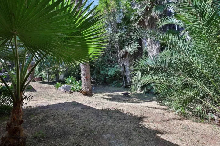 3862 Avocado Blvd, La Mesa, California 91941