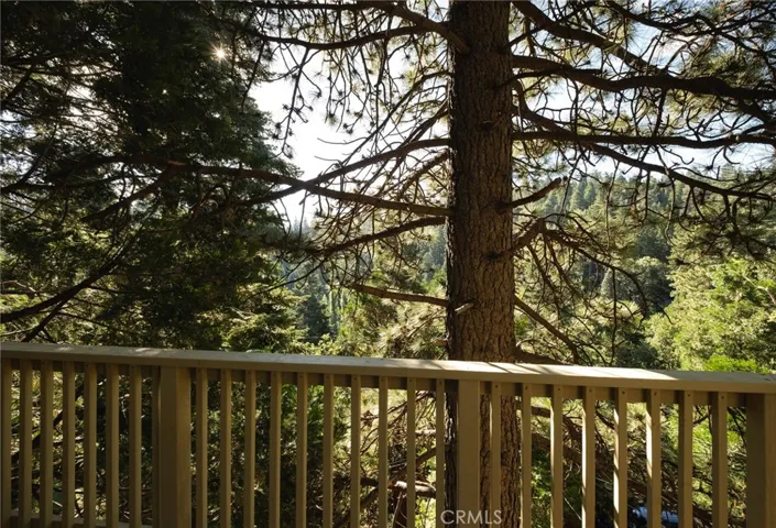764 Virginia Ct., Lake Arrowhead, California 92352