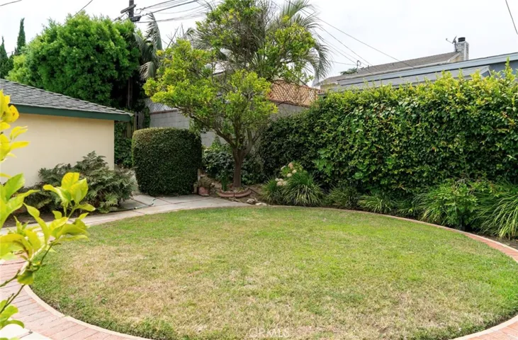Grassy area in the back yard