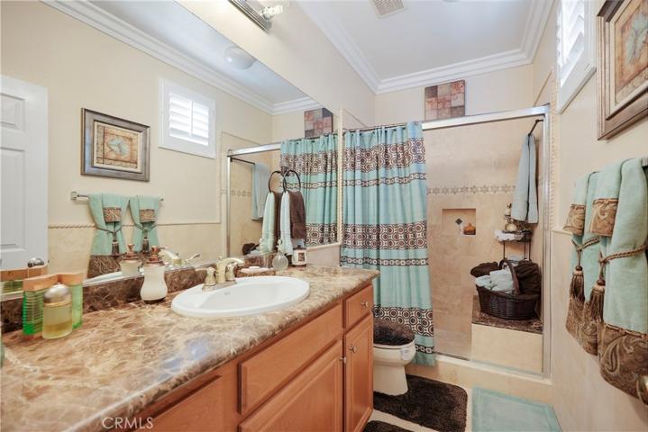Mini - Suite bathroom (downstairs)
