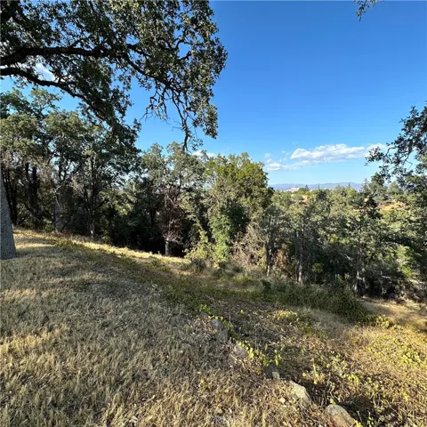 1295 Central Park Avenue, Lakeport, California 95453