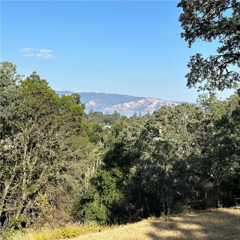 1295 Central Park Avenue, Lakeport, California 95453