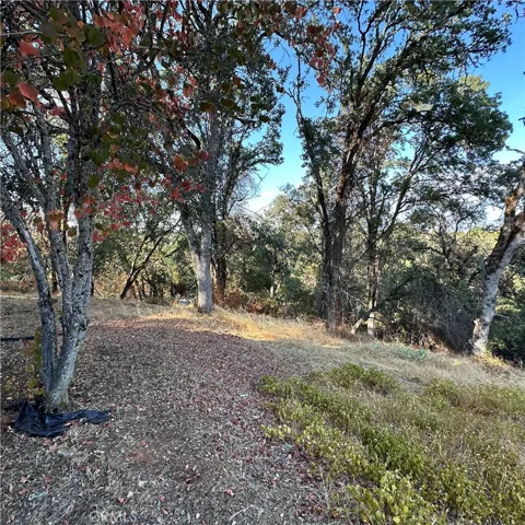1295 Central Park Avenue, Lakeport, California 95453