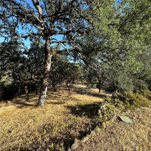 1295 Central Park Avenue, Lakeport, California 95453