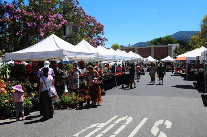16795 Paseo Carmelo, Los Gatos, California 95030