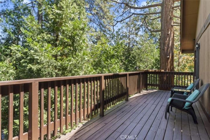 Watch the blue jays flit among the trees, and squirrels feed from this animal "banquet hall"