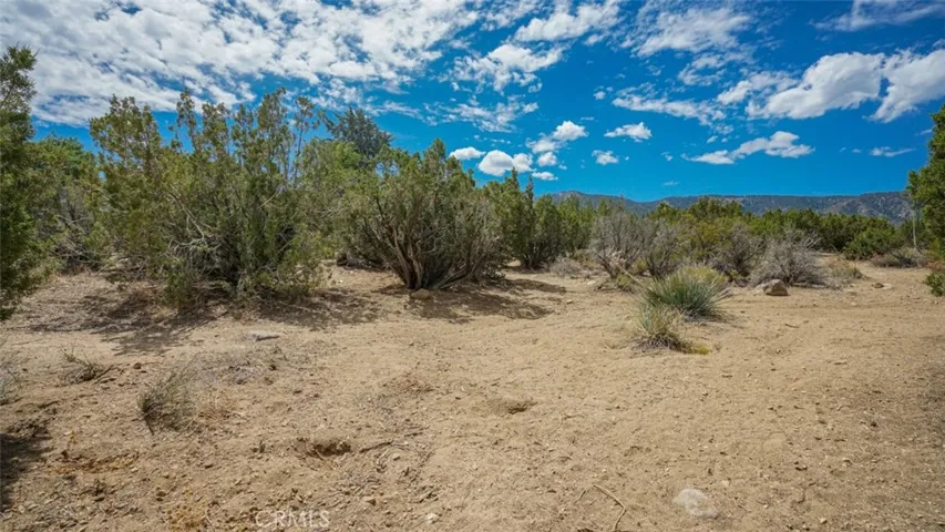 535 Cholla Road, Pinon Hills, California 92372