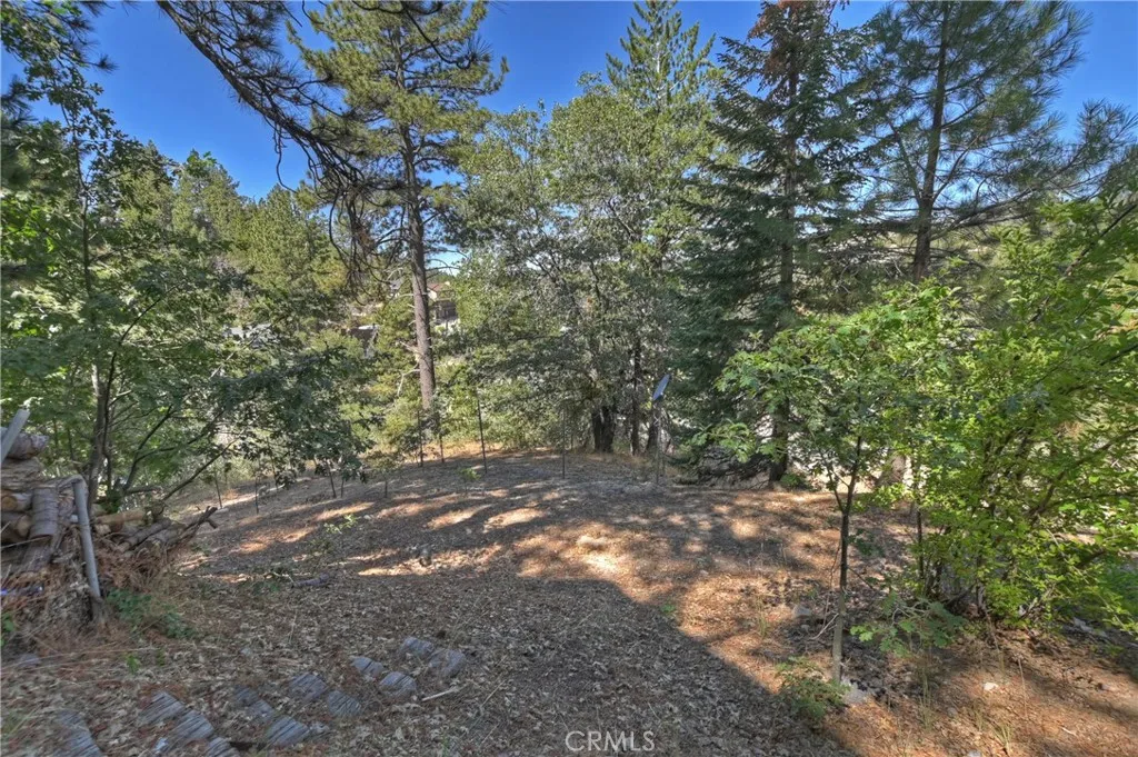 33026 Donner Lane, Arrowbear, California 92382 home-pic-25