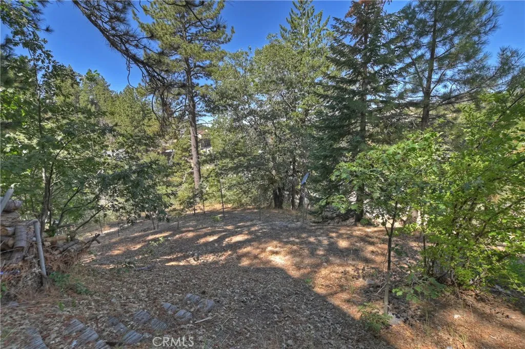 33026 Donner Lane, Arrowbear, California 92382 home-pic-21
