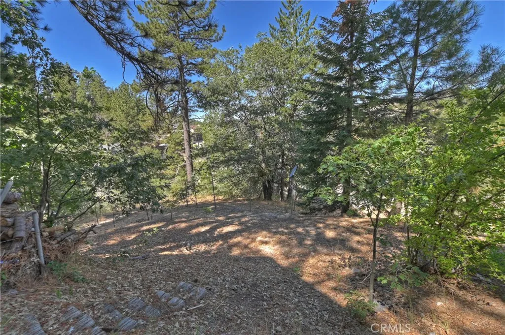 33026 Donner Lane, Arrowbear, California 92382 home-pic-26