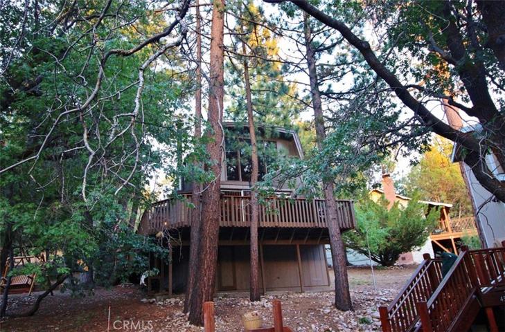 Front of Cabin