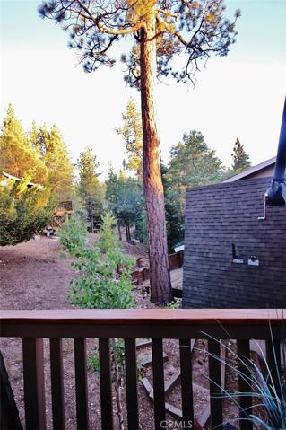 View from the deck