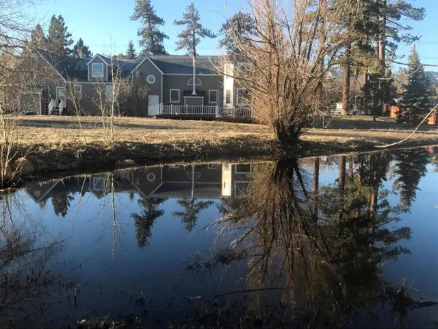 Back of house pond