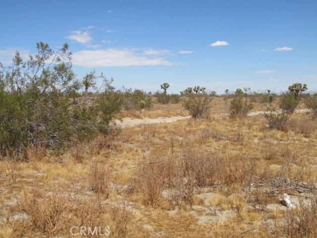 0 Buttonwood, Phelan, California 92371