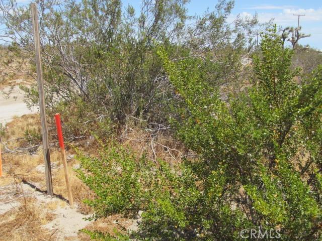 0 Buttonwood, Phelan, California 92371