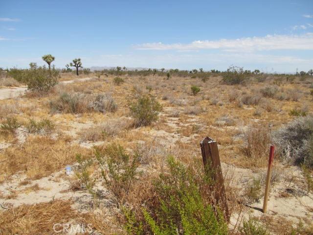 0 Buttonwood, Phelan, California 92371