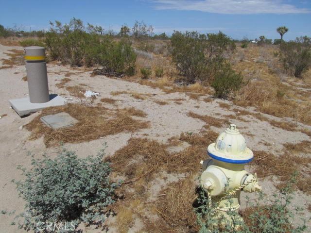 0 Buttonwood, Phelan, California 92371
