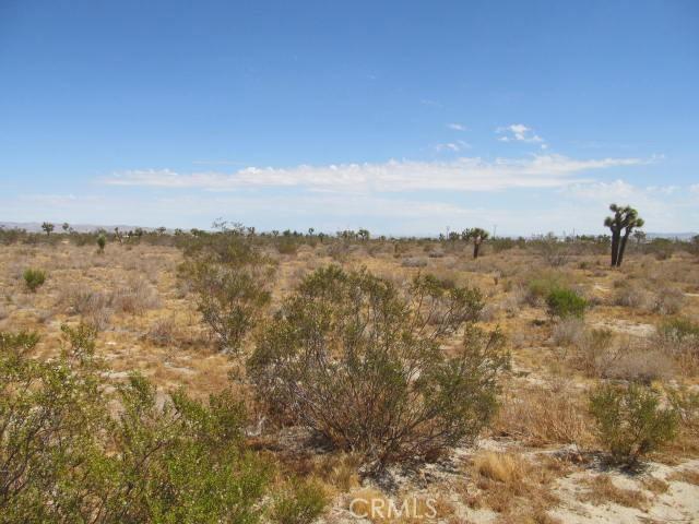 0 Buttonwood, Phelan, California 92371